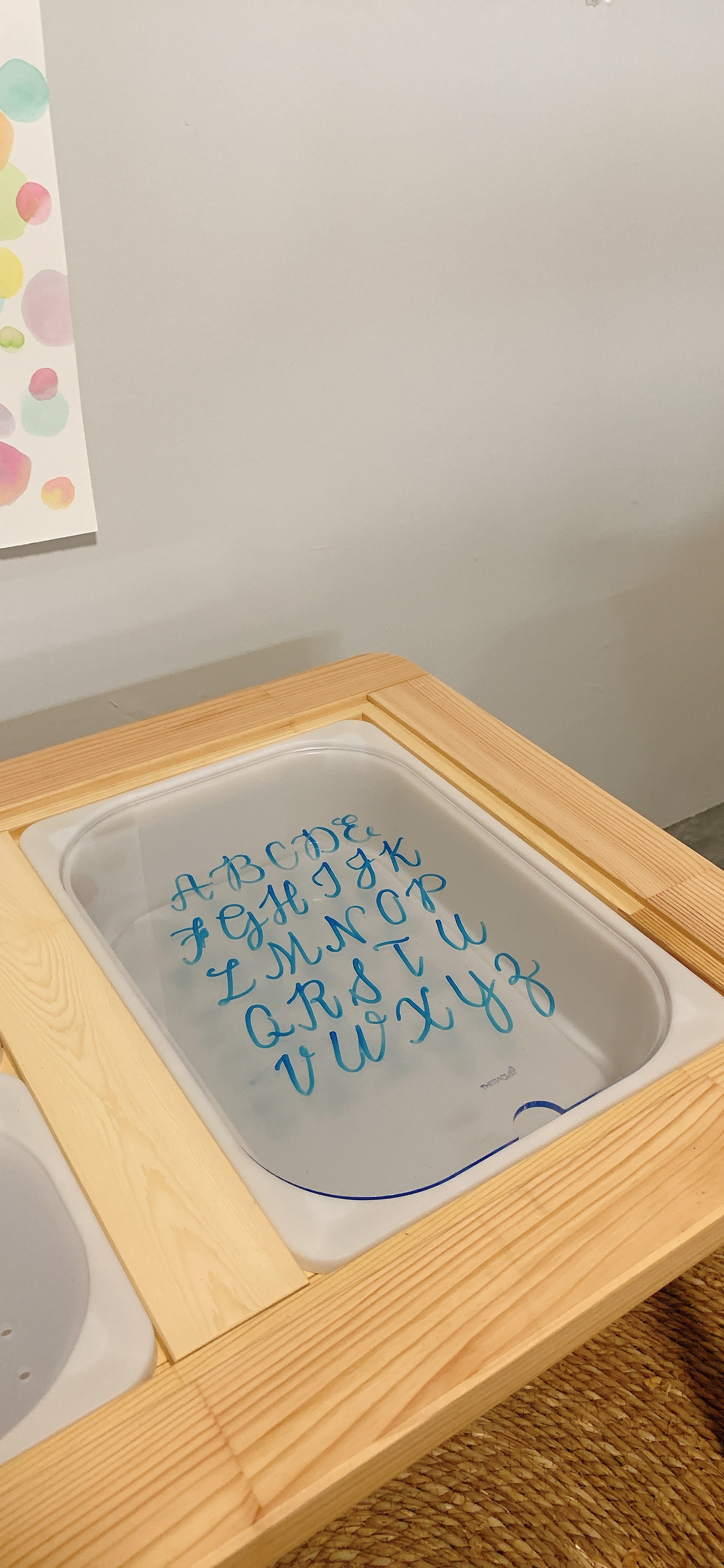 Transparent Lid