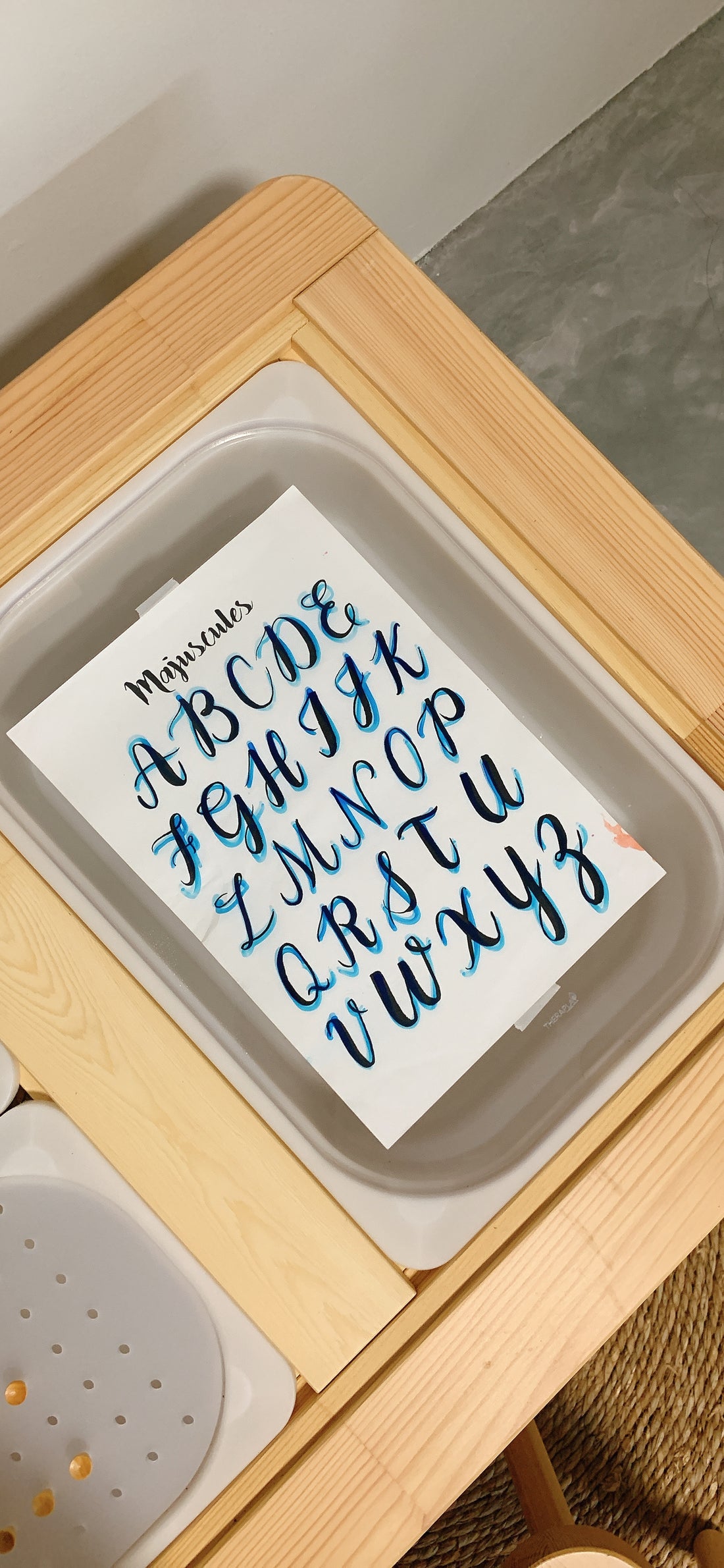 Transparent Lid