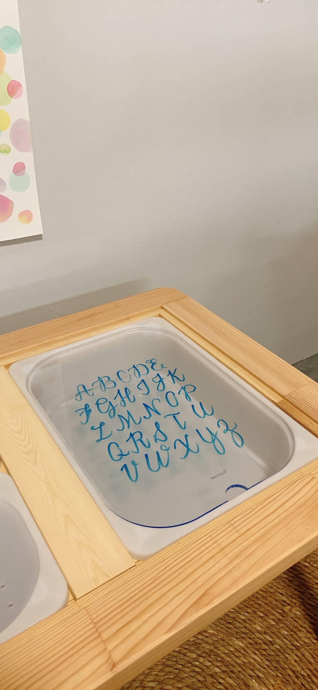 Transparent Lid